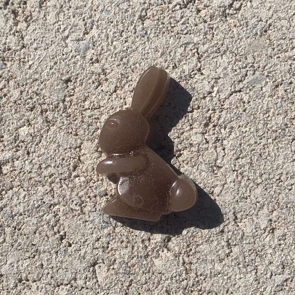 Easter bunny wax melts $20 for 25